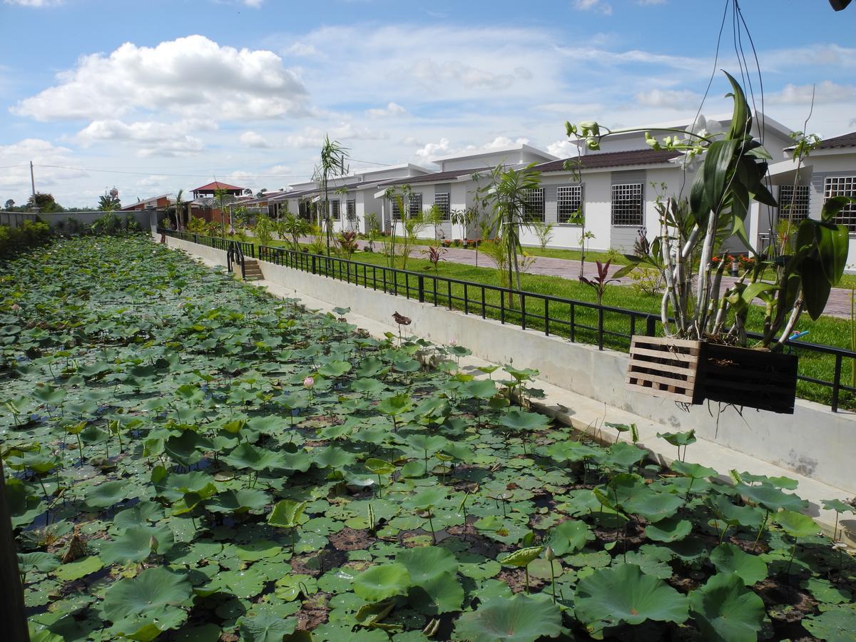 Ry'S Lotus Resort D'Angkor Siem Reap Exterior foto